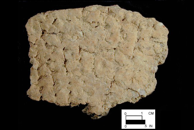 Wolfe Neck net-impressed body sherd from Lot# FRC1/38/71/11 - Courtesy of the Delaware State Museums.